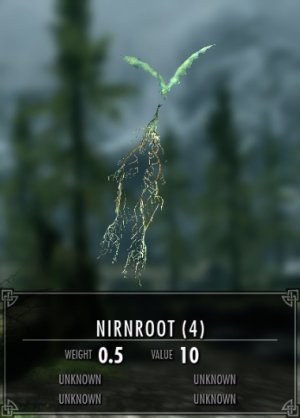 Nirnroot